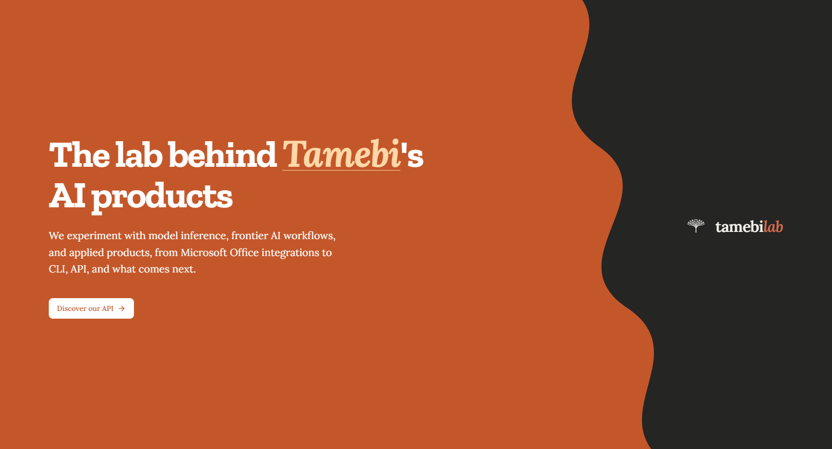 Tamebi AI Lab product preview